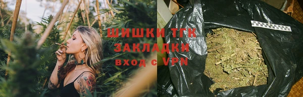 стаф Аркадак